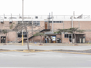 Imagen 5